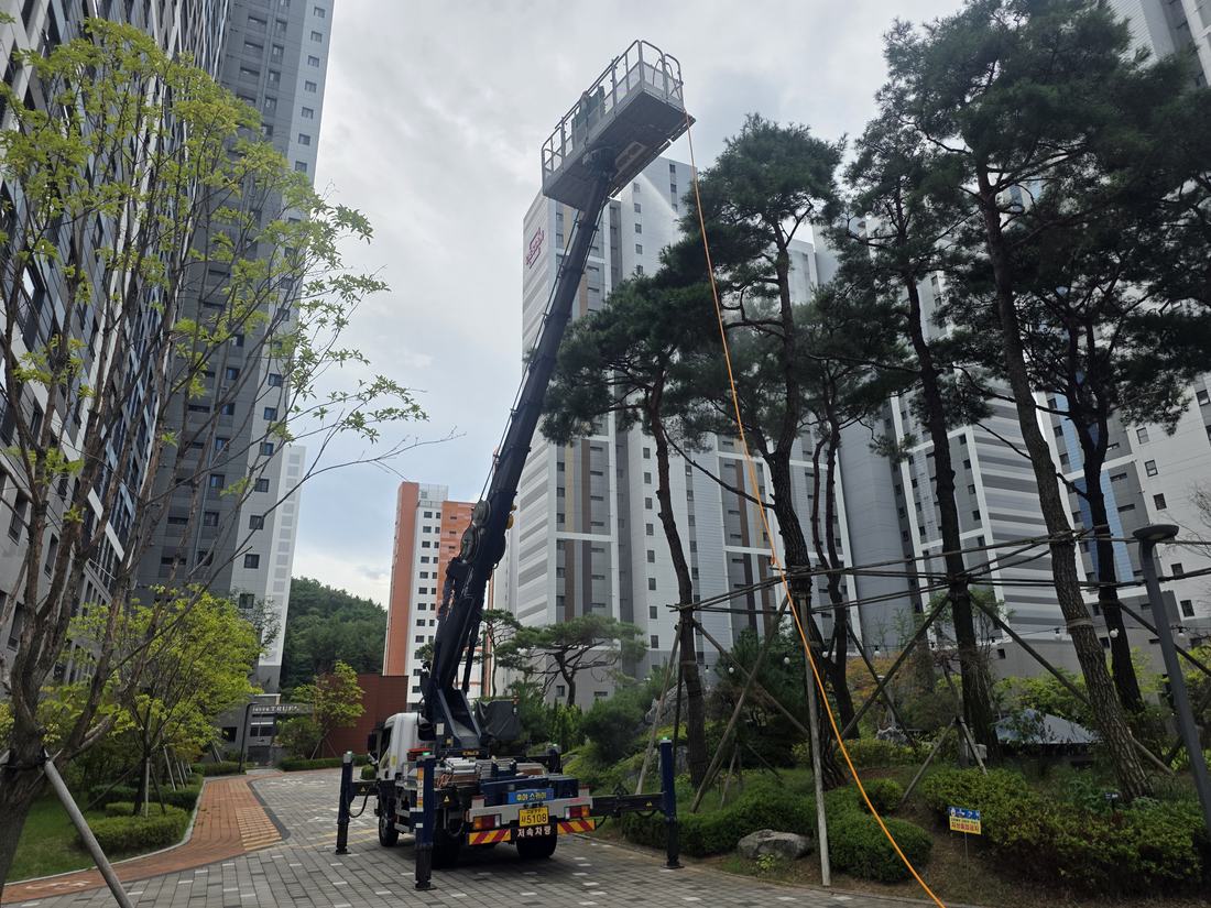 양산 스카이차 후야스카이 아파트 소나무 전지 현장